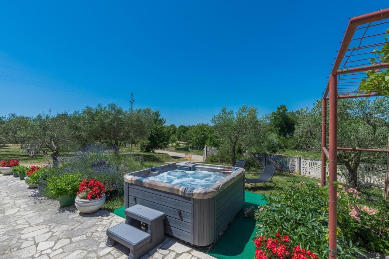 Ferienhaus Zora With Whirlpool Святой Ловреч Пазенатички Экстерьер фото